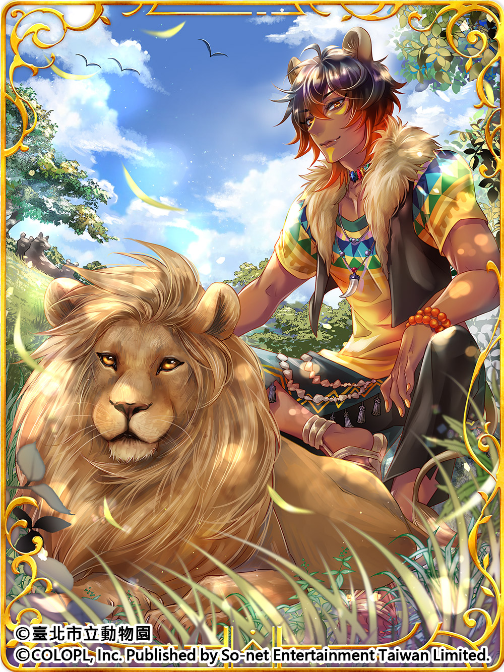 圖12_草原上的王者 獅子